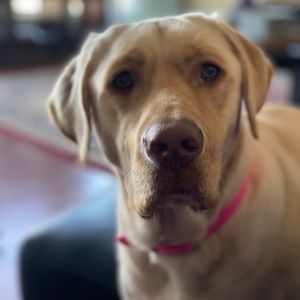 Meet your Posher, Beth